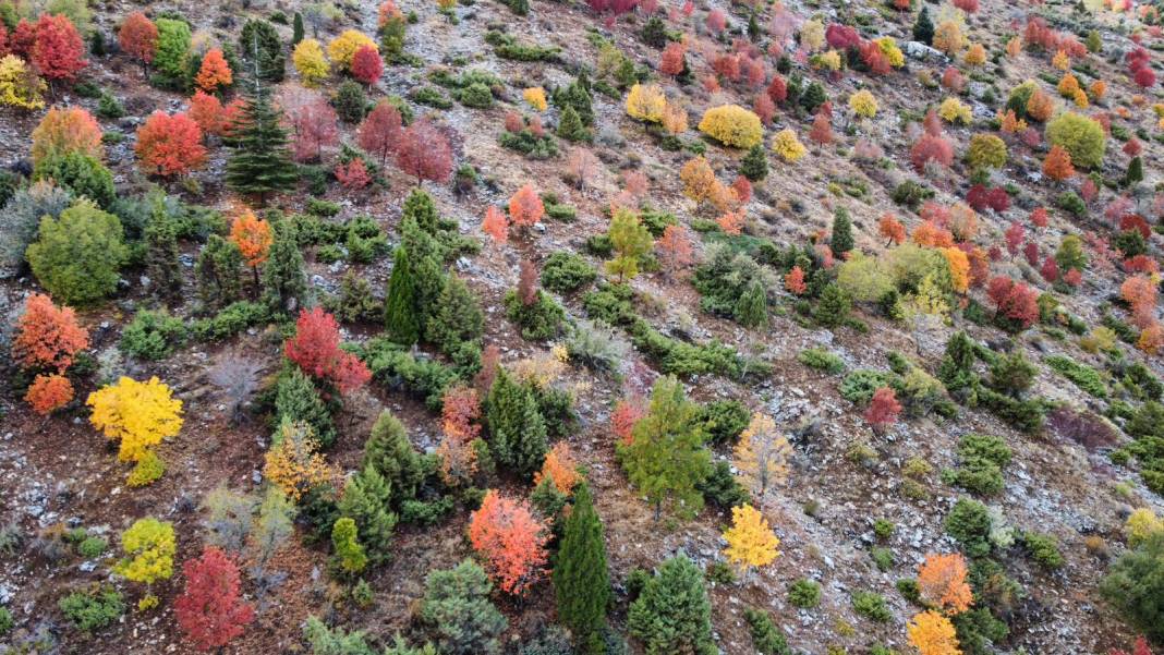 Konya’nın zirvelerinde sonbahar şöleni 11